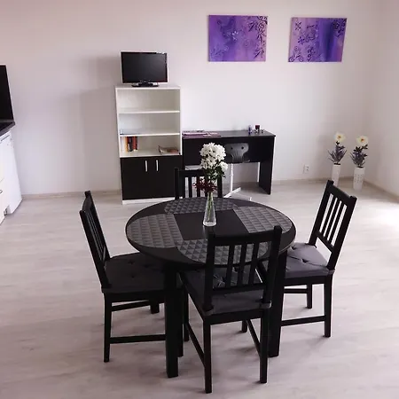 Apartments 4U Center + Free Parking Olomouc Exterior photo